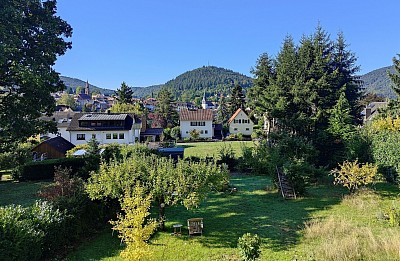 A Quiet Village along the Neckar River near Heidelberg